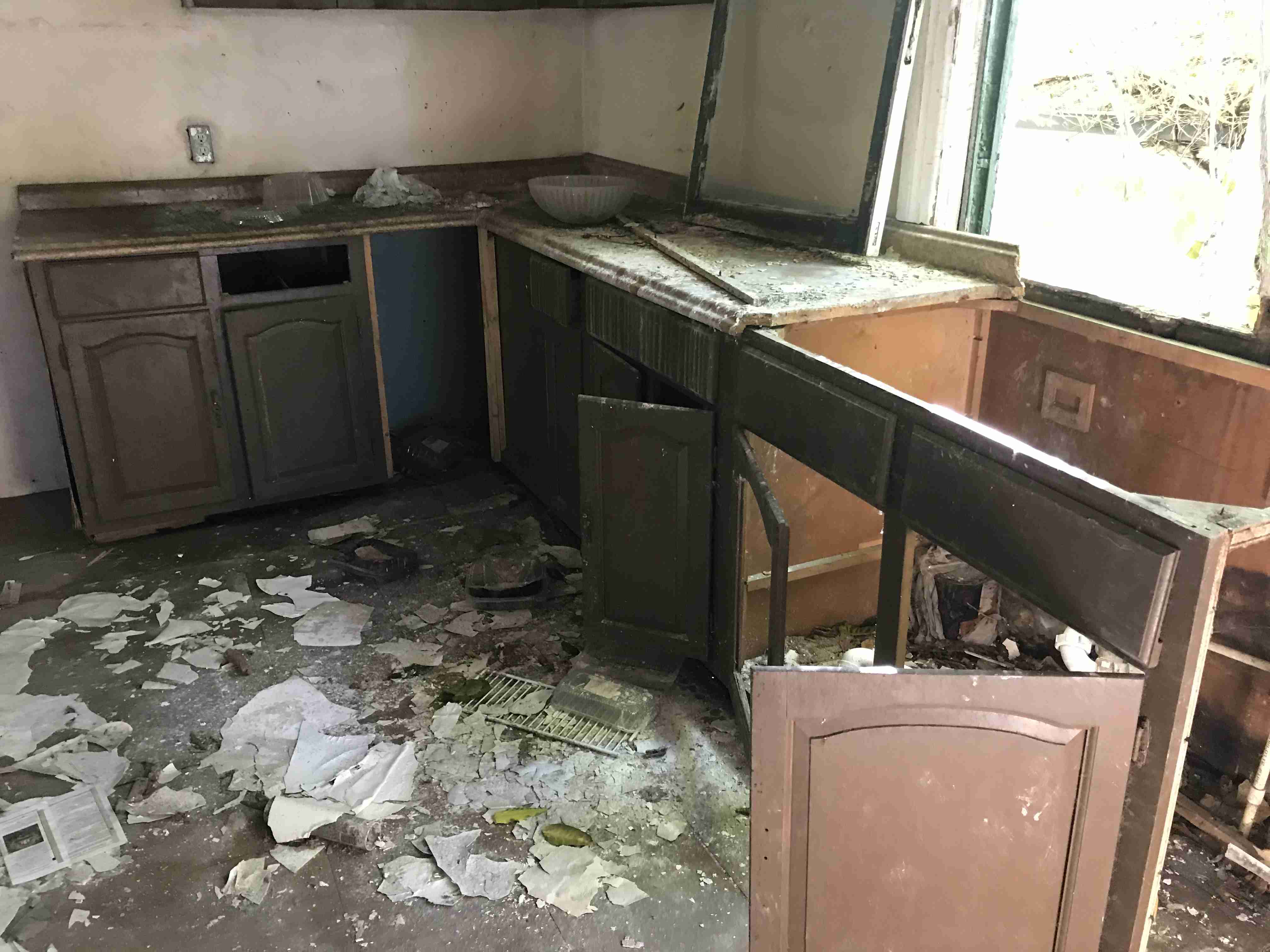 Photo Oct 13, 11 40 41 AM.jpg